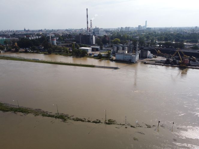 Wrocław - Odra wysoki poziom wody przy porcie miejskim (czwartek, 19.09)