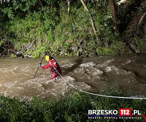 Powiat brzeski. Nocna akcja ratownicza strażaków nad rzeką Uszwicą