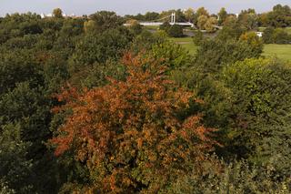 Wrocław w połowie października 2022 roku 