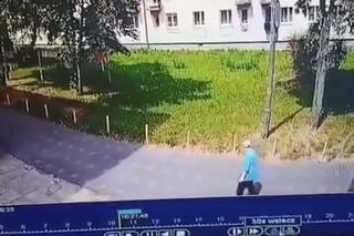 Wyciekło drastyczne nagranie. Śmieciarka zmiażdżyła spacerującą po chodniku emerytkę 