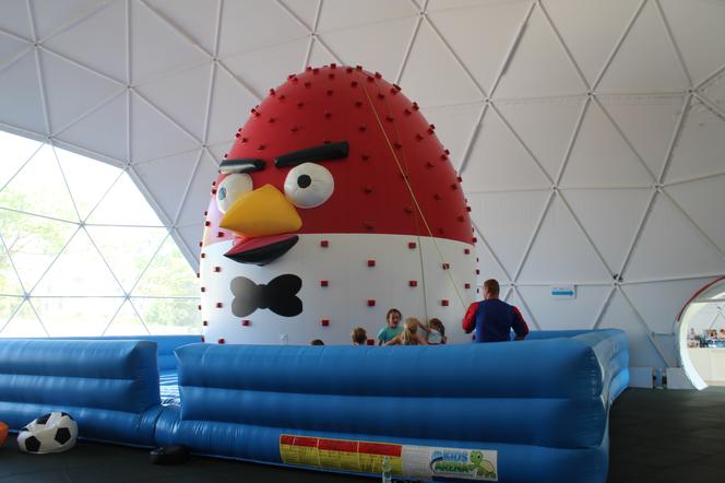 Kids Arena