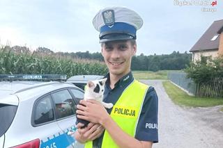 Policjant uratował kotka, który błąkał się po wiślance 