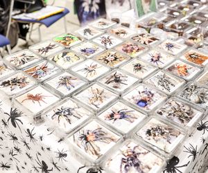 Targi egzotyki w Katowicach