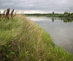 Najdłuższe rzeki w Polsce. Niektóre miejsca mogą zadziwić [GALERIA]