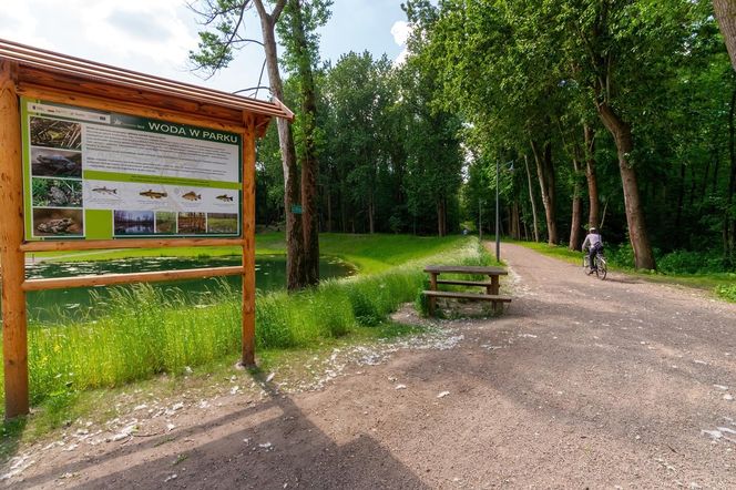 Rów Kalny w Sosnowcu znajduje się w Parku Tysiąclecia