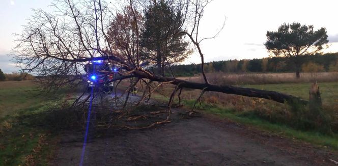 Wichura w Łódzkiem