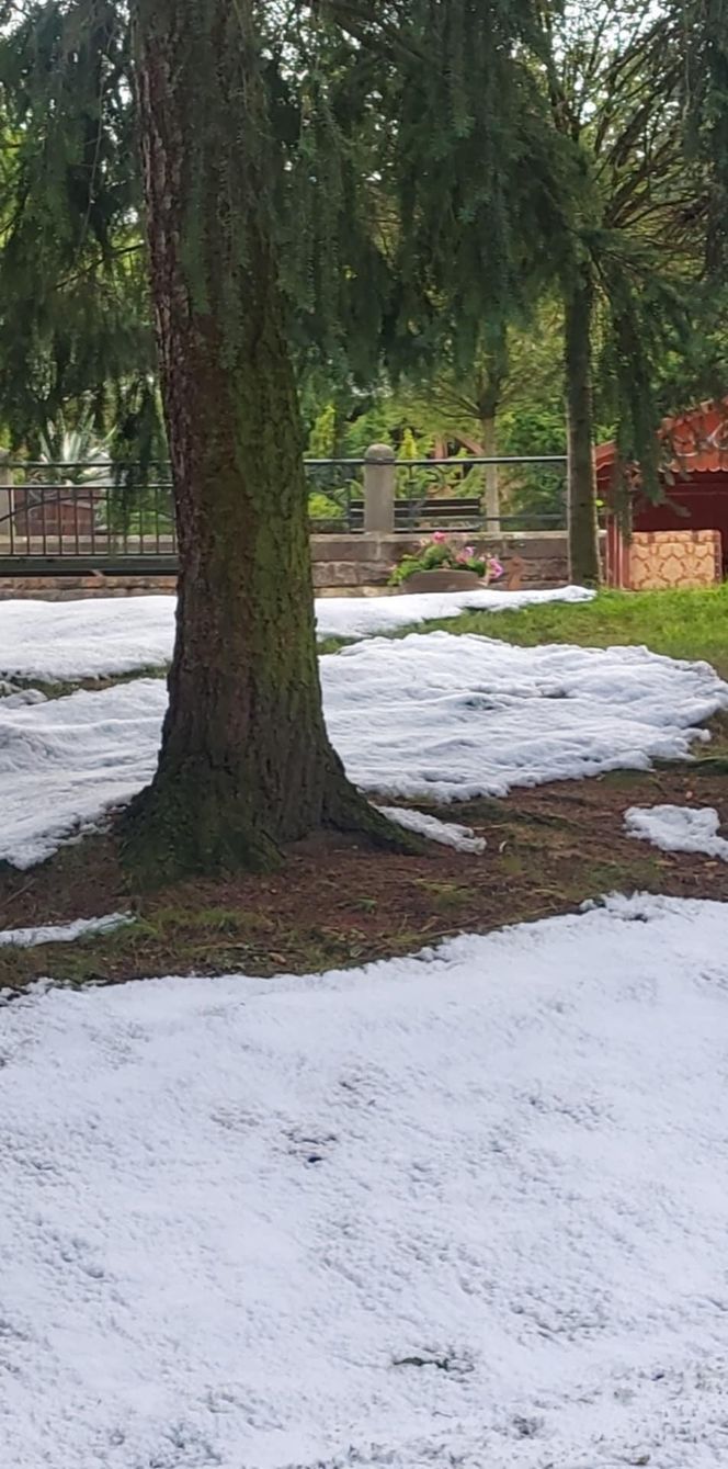 Środek lata, a tam… zima. Co się dzieje w Świeradowie-Zdroju? 