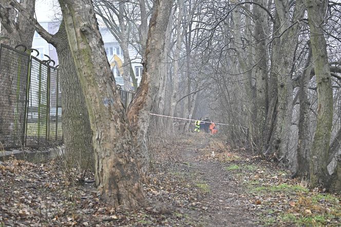 Wielka akcja policji w Nowym Dworze Mazowieckim. Znaleziono ludzkie szczątki