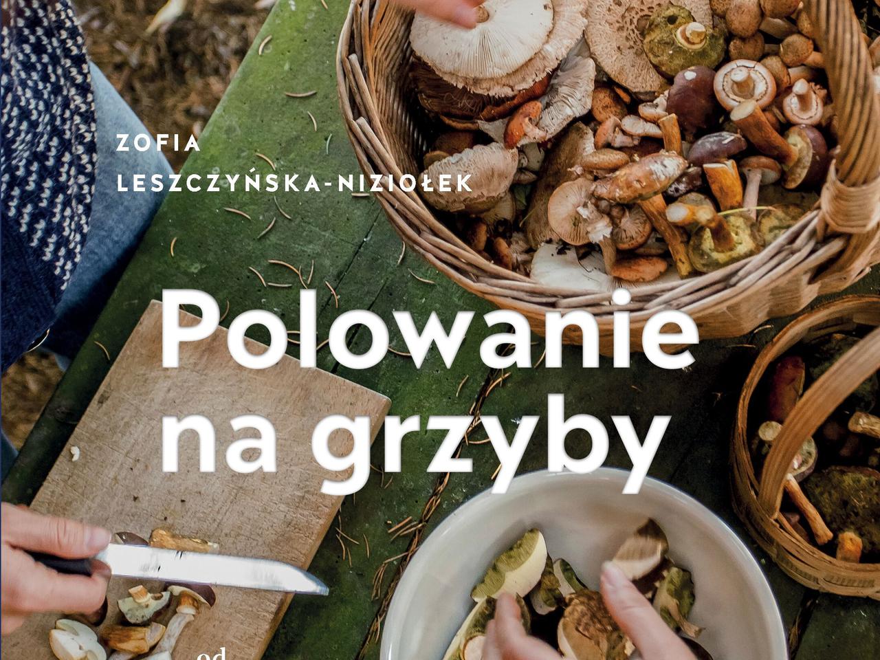 Najlepszy prezent dla grzybiarza: „Polowanie na grzyby” Zofia Leszczyńska-Niziołek [RECENZJA]