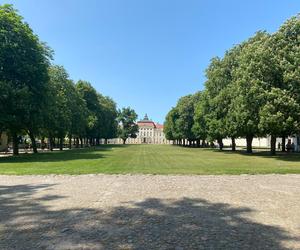 Pałac w Rogalinie zachwyca turystów. Znajduje się 20 kilometrów od Poznania 