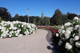 Zambrów na Podlasiu