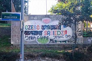 Mozaika Cześć sąsiedzi zniszczona