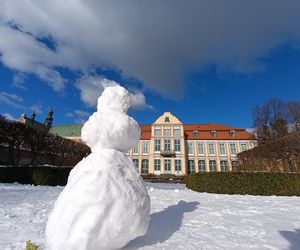 Park Oliwski. Palmiarnia i Pałac Opatów. Za darmo w Gdańsku