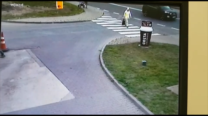 Sosnowiec. Gdzie jest Leokadia Kupiec? Trwa potężna akcja policji! [ZDJĘCIA]