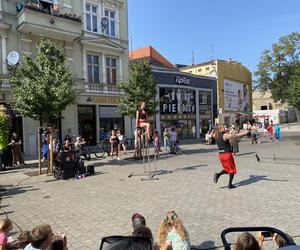 Busker Tour 2024 w Zielonej Górze