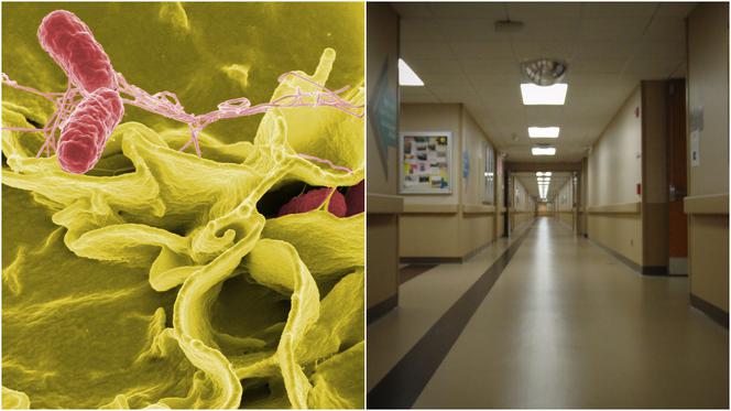 Ostrołęka. Trzynaścioro dzieci trafiło do szpitala! Groźna bakteria naraziła kolejne 100 osób