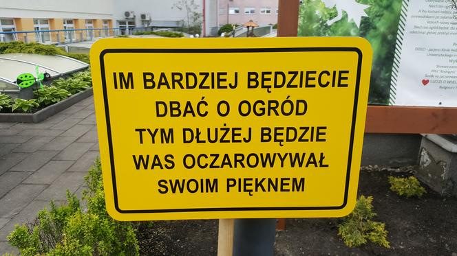 Zaczarowany ogród w Bydgoszczy