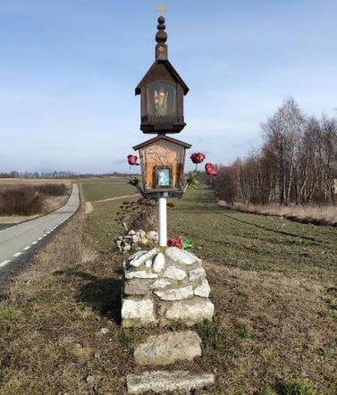 Wieś Brzeziny
