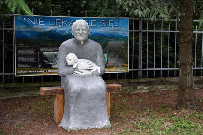 Proboszcz chce usunąć papieża