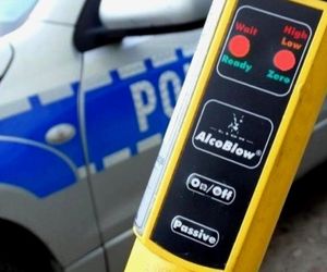 Rabinówka. Pijana 22-latka bez prawa jazdy uderzyła w ogrodzenie i drzewo