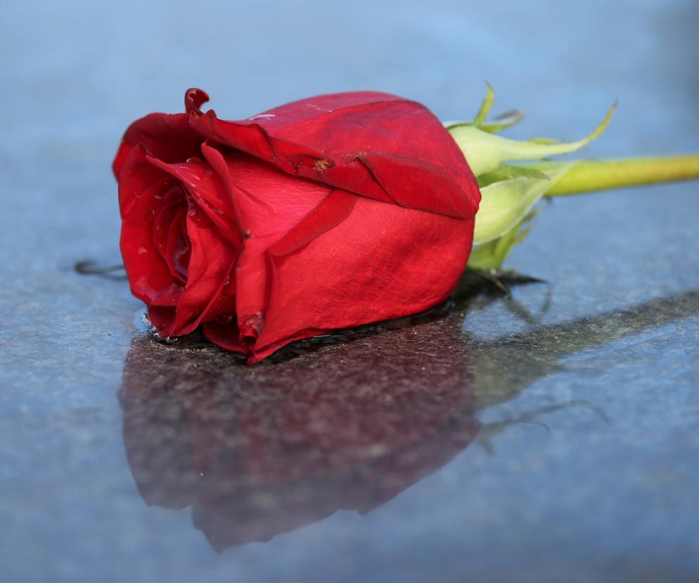 Ewa i Justyna zostały zamordowane w drodze do szkoły. Czy morderca zostawiał róże na ich grobach?