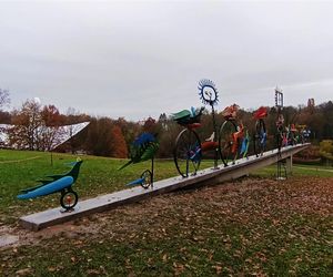 Ogniste Ptaki w Parku Kasprowicza w Szczecinie