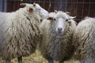 Zoopark 2023 w Lublinie