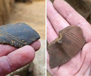 Niesamowite odkrycie archeologiczne w Kujawsko-Pomorskiem. To kurhan sprzed trzech tysięcy lat!