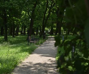 Toruń. Chciał zabić dziewczynę w parku Glazja. W nocy został aresztowany!