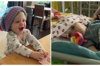 Arianka walczyła o życie. Nadeszły smutne wieści. „Odeszła tam, gdzie bólu i smutku już nie ma”