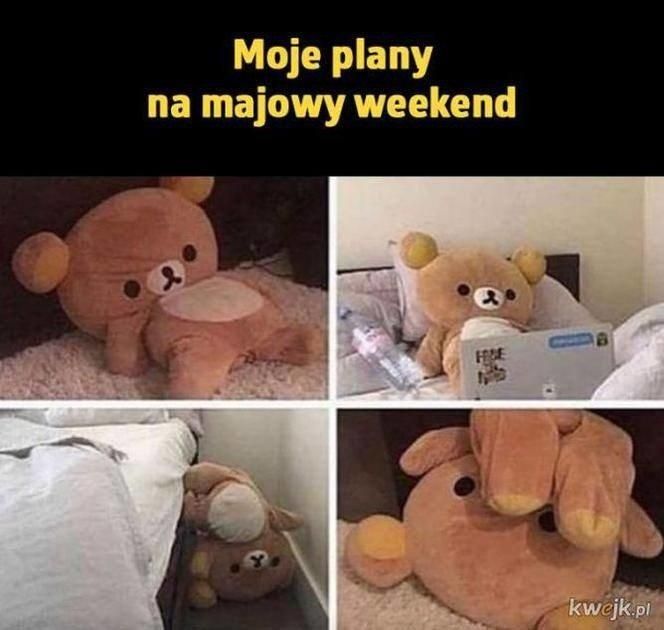 Memy majówka 2025