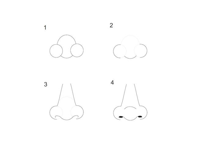 как нарисовать нос-целое