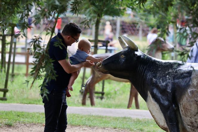 Miłosz Motyka. Energia rozpiera ministra