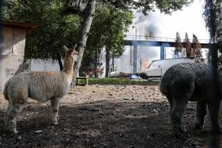 Wybuch w Woli Łaskiej koło Łodzi. Płonie zakład utylizacji odpadów