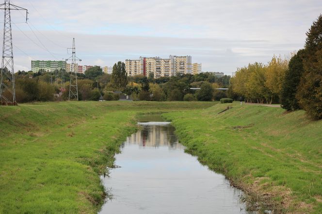 Jesienna odsłona terenów nad Bystrzycą w Lublinie. Tak się prezentuje w październiku