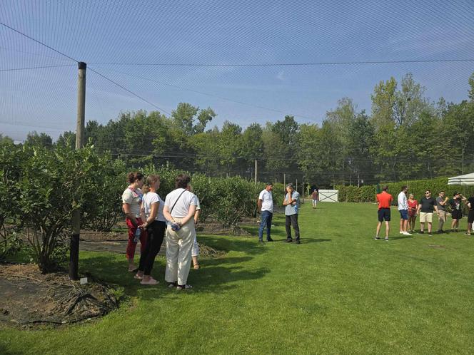 Katowiczanie protestują przeciwko likwidacji plantancji borówek