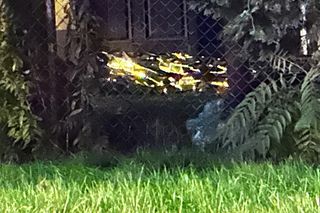 Pobili 44-latka i podpalili tapczan w domu. Szokujące okoliczności śmierci bezdomnego