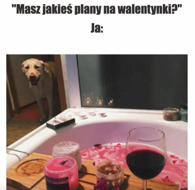 Memy na walentynki 2022 [GALERIA]