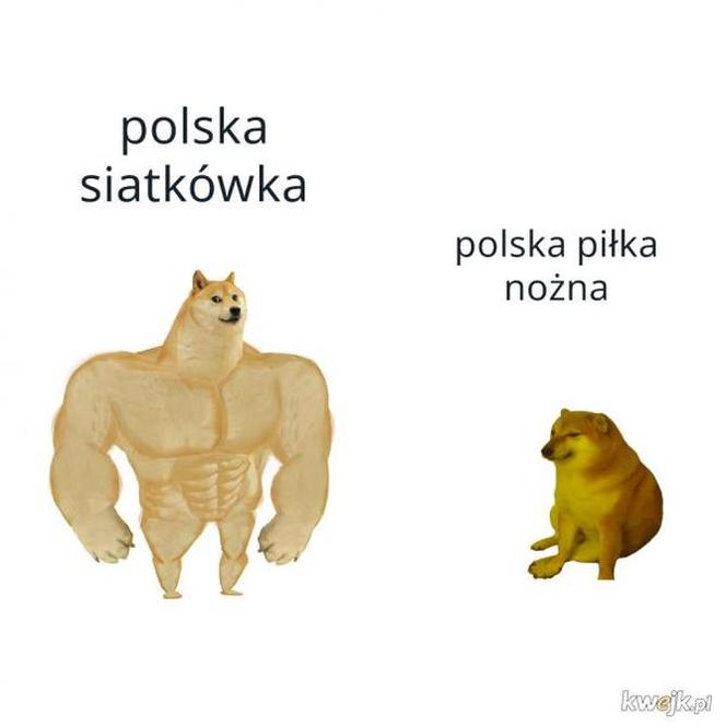 Kabosu