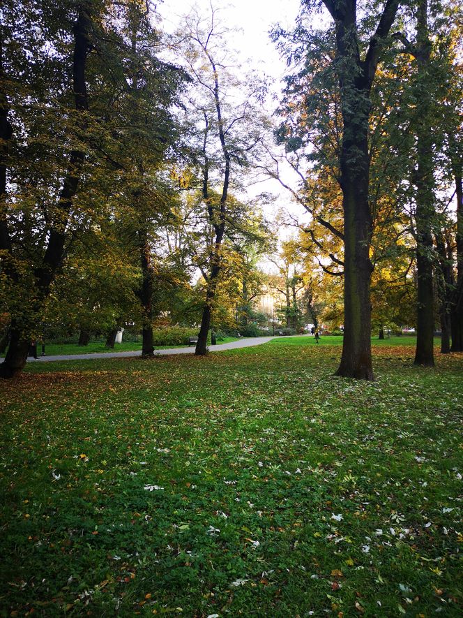 Jesień w Parku Krakowskim