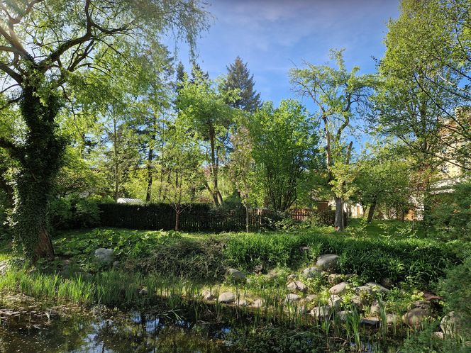 Wiosna w Ogrodzie Botanicznym UKW, czyli spacer wśród zieleni