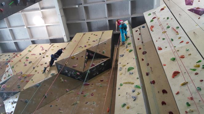 Akademickie Mistrzostwa Polski we wspinaczce sportowej