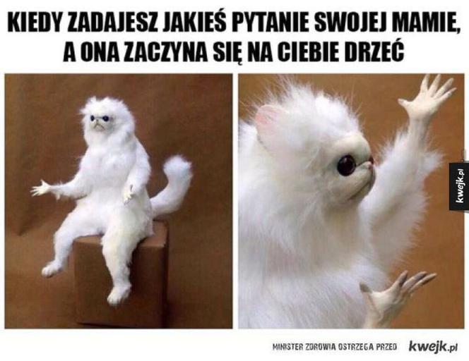  Memy na Dzień Matki 2022 [GALERIA]