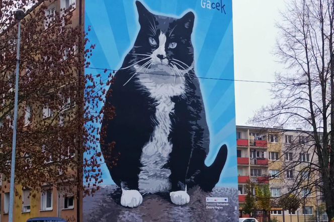 Mural z kotem Gackiem już odsłonięty