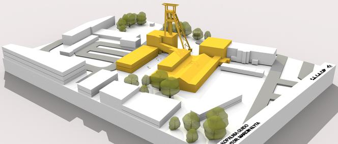 Innowacyjne metody analizy miasta- Modele struktury miasta Zabrze