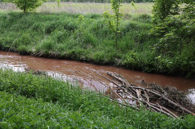 Pożar w Siemianowicach Śląskich był zlecony przez Rosję?