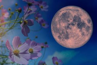 Pełne zaćmienie kwiatowego Księżyca 15-16 maja 2022. Jak obserwować to wyjątkowe zjawisko na nocnym niebie?