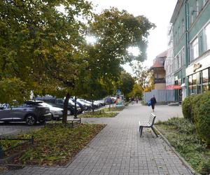 Kolorowe drzewa i klimatyczne kamienice. Ta ulica w Olsztynie zachwyca jesienią [ZDJĘCIA]