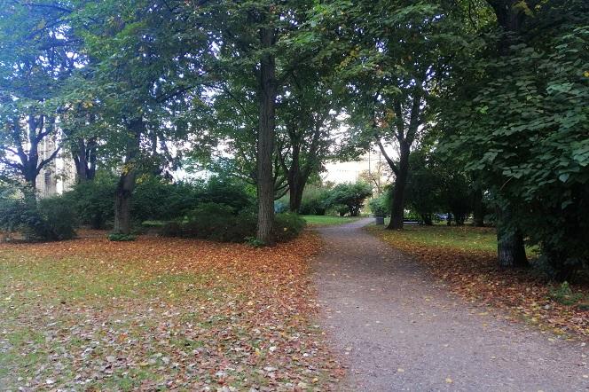 Park Centralny