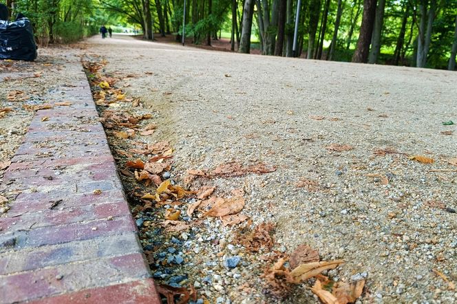 Usterki na Alei Fałata